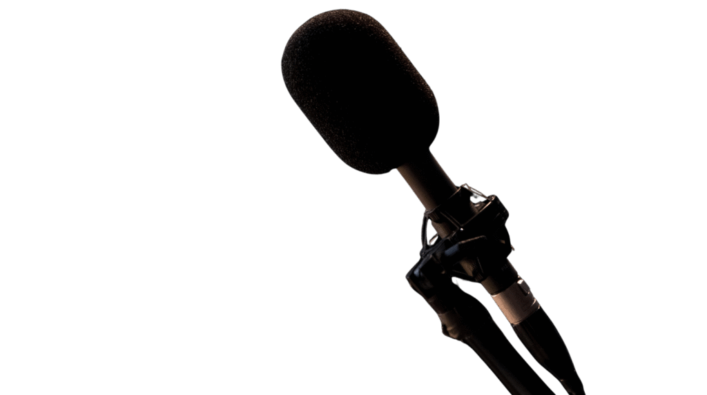 microfon-profesional